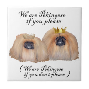 Wir sind Pekingesen Fliese