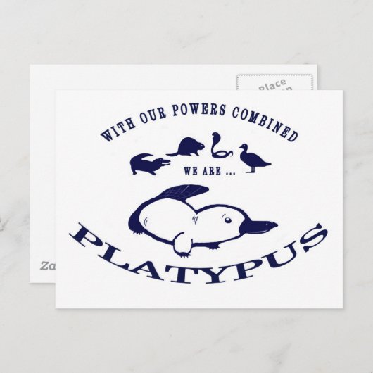 Wir sind Platypus Postkarte (Vorne/Hinten)