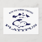Wir sind Platypus Postkarte (Vorderseite)