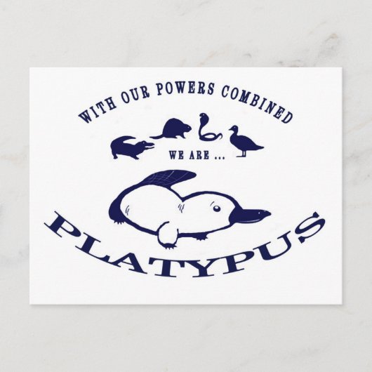 Wir sind Platypus Postkarte (Vorderseite)