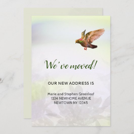 Wir sind umgezogen, fliegen Taube Ankündigung (Vorne/Hinten)