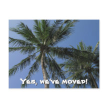 Wir sind umgezogen - Palmen Bäume auf der Postkart