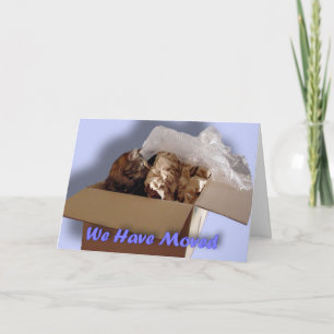 Wir sind umgezogen. Verlagern. Neues Haus. Neue Ankündigung