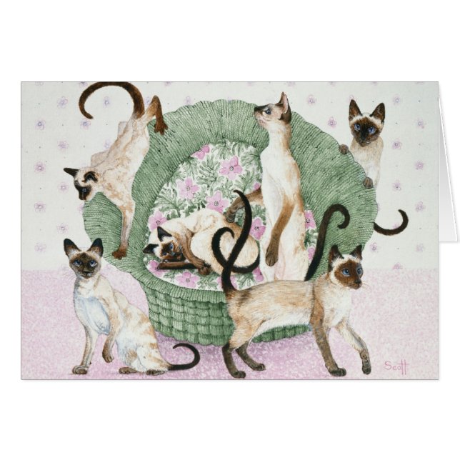 Wir sind wenn Sie bitte siamesisch (Vorderseite (Horizontal))