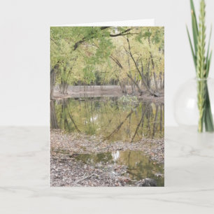 'Wir sind wirklich. dankbar. ~ 1 Dankeskarte