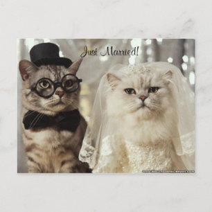 Wir taten es gerade! ankündigungspostkarte