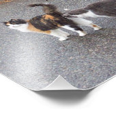 Wir treffen uns auf der Straße Haiku Fotodruck (Ecke)