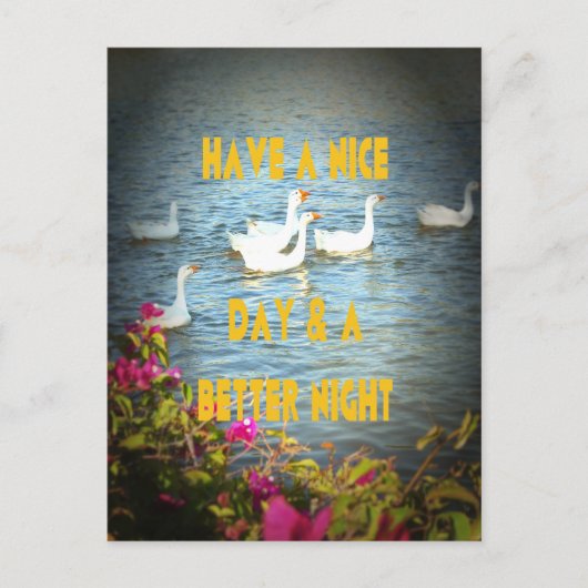 Wir verließ unseren Kunden immer zufrieden und zuf Postkarte (Vorderseite)