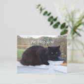 Wir vermissen dich Kitty Postcard Postkarte (Stehend Vorderseite)