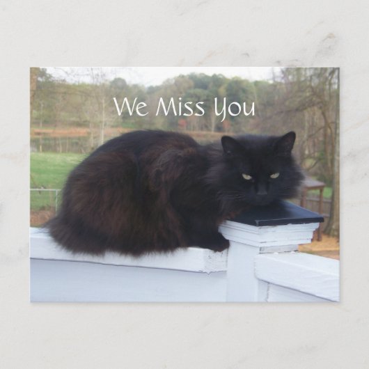 Wir vermissen dich Kitty Postcard Postkarte (Vorderseite)
