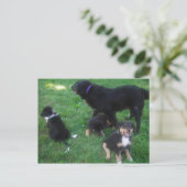 Wir verpassen Ihre Postkarte (Stehend Vorderseite)