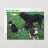 Wir verpassen Ihre Postkarte (Vorne/Hinten)