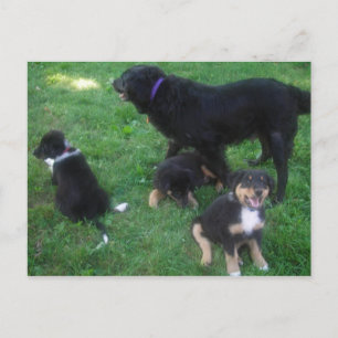 Wir verpassen Ihre Postkarte