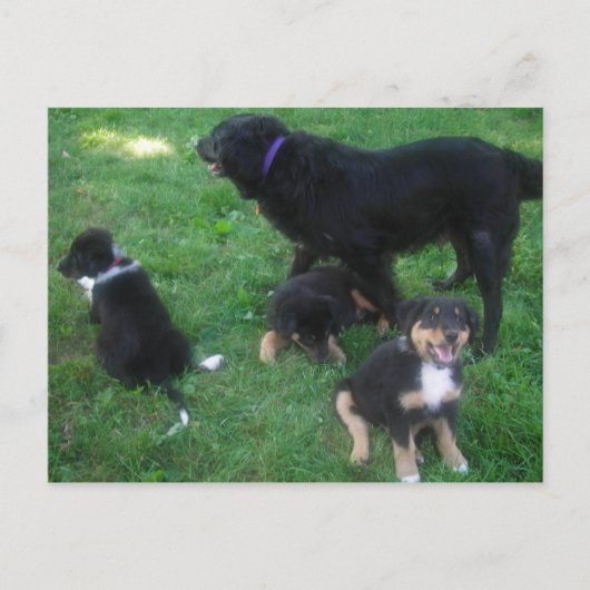 Wir verpassen Ihre Postkarte (Vorderseite)