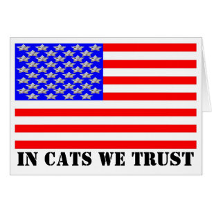 Wir vertrauen Katzen