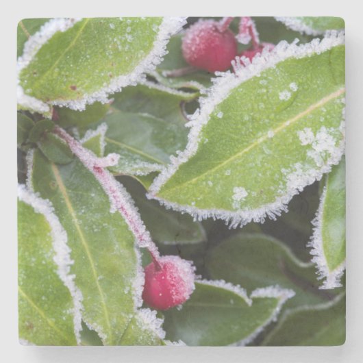 Wir, Wa, Bainbridge Island. Früherer Morgenfrost Steinuntersetzer (Vorderseite)