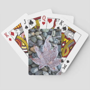 Wir, Wa, Bainbridge Island. Frühmorgenfrost 2 Spielkarten