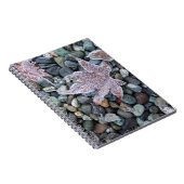 Wir, Wa, Bainbridge Island. Frühmorgens Frost 2 Notizblock (Rechte Seite)