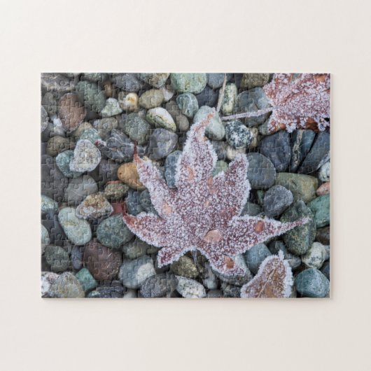 Wir, Wa, Bainbridge Island. Frühmorgens Frost 2 Puzzle (Horizontal)