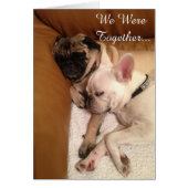 Wir waren zusammen… (Vorne)