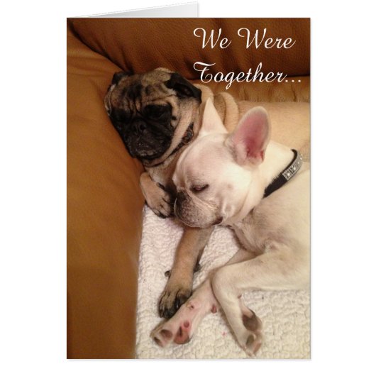 Wir waren zusammen… (Vorne)