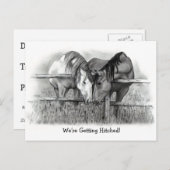 Wir werden heftig: Pferde, Stift, Hochzeit Einladungspostkarte (Vorne/Hinten)