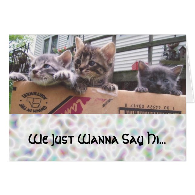 Wir wollen nur Hallo sagen... (Vorderseite (Horizontal))