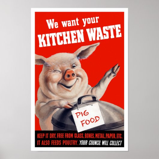 Wir Wollte Ihre Küchenabfälle Schweinefleisch — Zw Poster (Vorne)