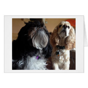 WIR WÜNSCHEN "DIR" EINEN SEHR GLÜCKLICHEN "GEBURTS