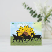 Wir ziehen mit Pferd & Sonnenblumen Neue Adresse Ankündigungspostkarte (Stehend Vorderseite)