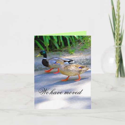 Wir zogen um! _ ankündigung (Vorderseite)