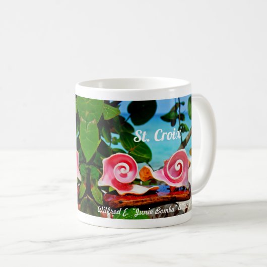 Wirbel Conch Muschel Tasse St. Croix (VorderseiteRechts)