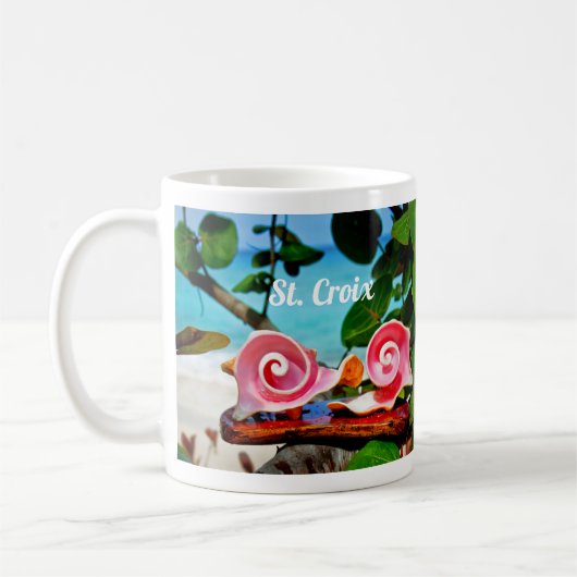 Wirbel Conch Muschel Tasse St. Croix (Links)