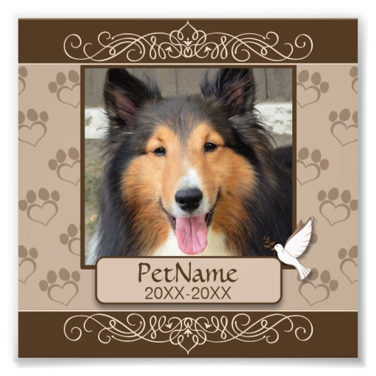 Wirbel für braune Calligraph- - Beileid für Hausti Fotodruck (Vorne)