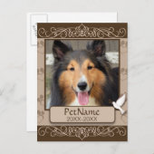 Wirbel für braune Calligraph- - Beileid für Hausti Postkarte (Vorne/Hinten)