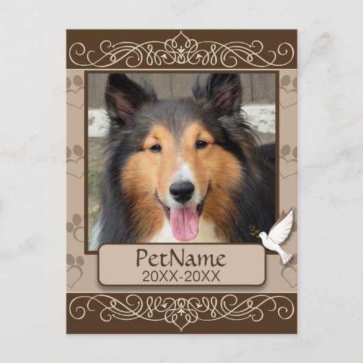 Wirbel für braune Calligraph- - Beileid für Hausti Postkarte (Vorderseite)