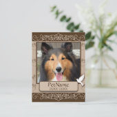 Wirbel für braune Calligraph- - Beileid für Hausti Postkarte (Stehend Vorderseite)