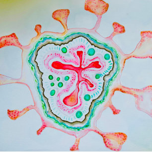 Wirbel Hearts-Notebook Notizblock