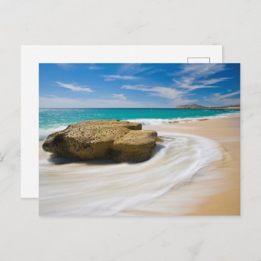 Wirbel mit Meerestide am Strand Postkarte (Vorne/Hinten)