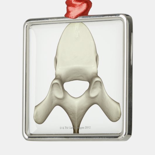 Wirbel Ornament Aus Metall (Links)