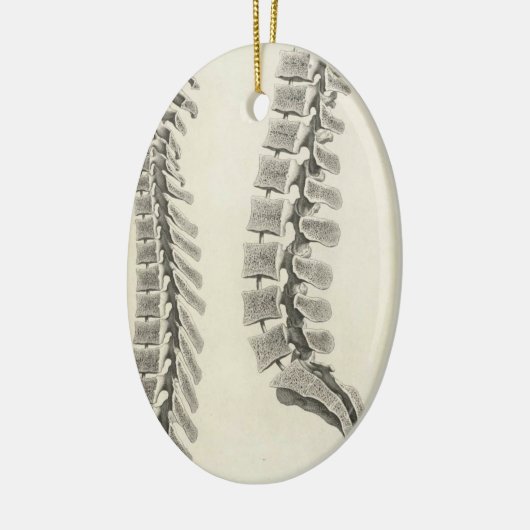 Wirbel-Zeichnen Keramik Ornament (Links)