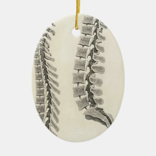 Wirbel-Zeichnen Keramik Ornament (Vorne)