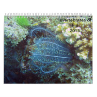 Wirbellose Tiere von Kalender Fidschis 2015
