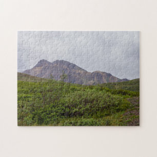 Wirbelnde Schönheit in Denali Puzzle