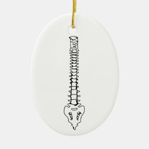 Wirbelsäule Keramik Ornament