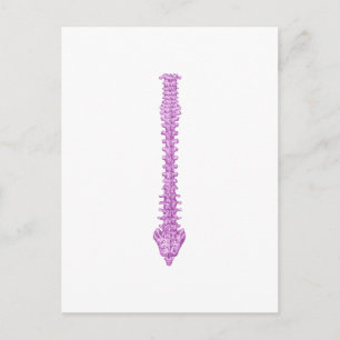 Wirbelsäule Lila Postkarte
