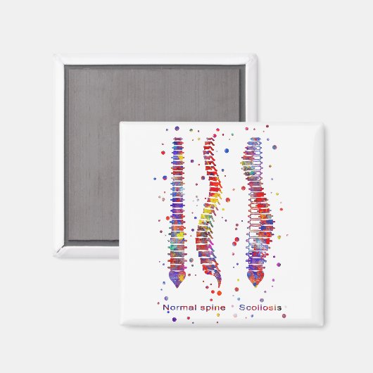 Wirbelsäule Magnet (Vorderseite/Rückseite)