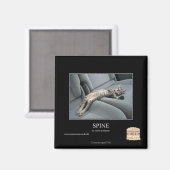 Wirbelsäule Magnet (Vorderseite/Rückseite)