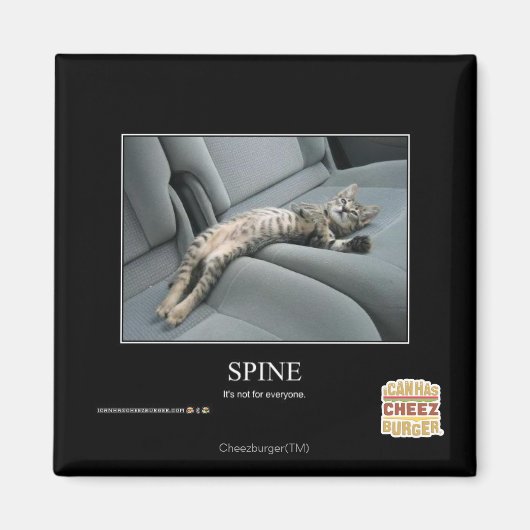 Wirbelsäule Magnet (Vorne)