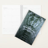 Wirbelsäule Planer (Anzeige)